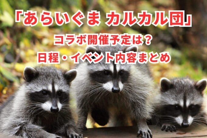 「あらいぐま カルカル団」コラボ開催予定は？日程・イベント内容まとめ